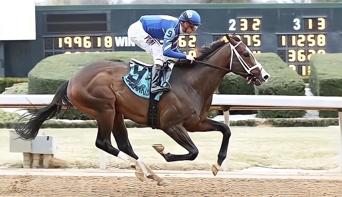 Eden Prairie couple’s horse 10th in 2022 Kentucky Derby – Eden Prairie Local News