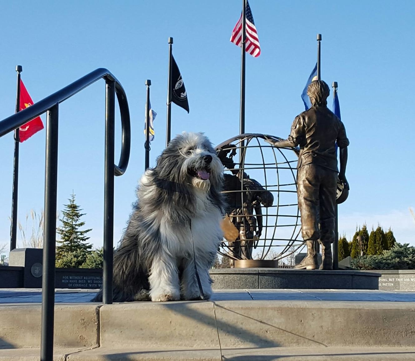 Goodbye to a good boy: Mac the therapy dog led a life of service