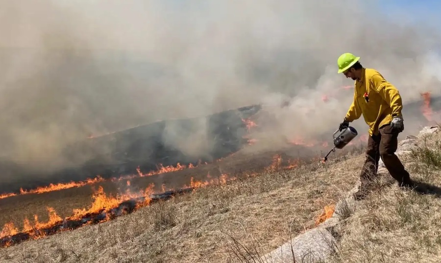 controlled-burn-underway-to-rejuvenate-prairie-eden-prairie-local-news