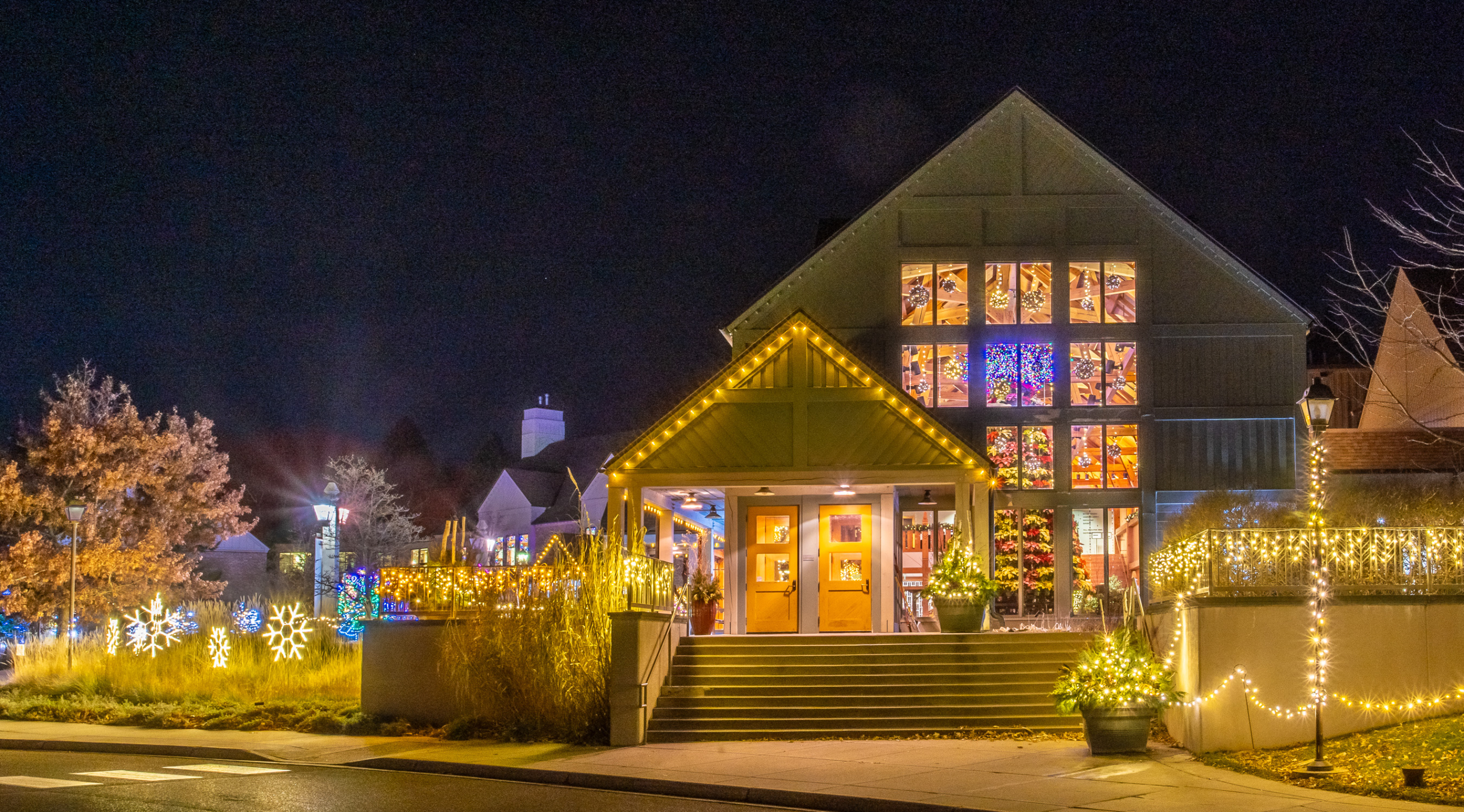 Arboretum's Winter Lights display features botanical themes