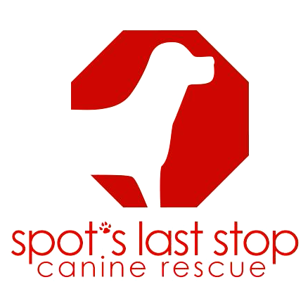 Spot's Last Stop Canine Rescue